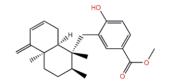 Dictyoceratin D